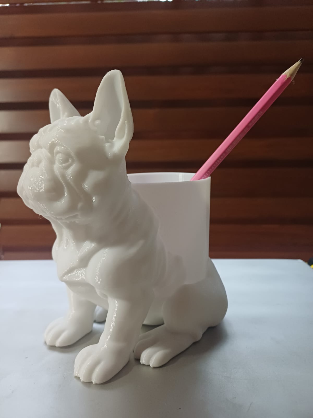 French Bulldog Colourful